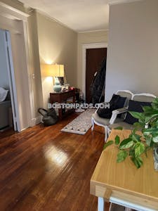 Allston 1 Bed 1 Bath BOSTON Boston - $2,450 No Fee