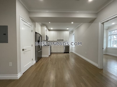 Brighton 2 Bed 1 Bath BOSTON Boston - $3,300 No Fee