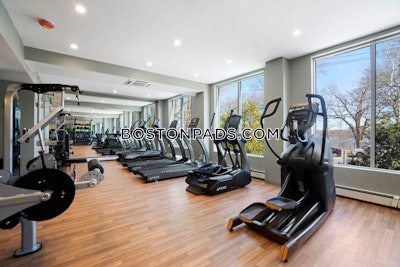 Cambridge 2 Bed 1 Bath CAMBRIDGE  Mt. Auburn/brattle/ Fresh Pond - $3,879 No Fee