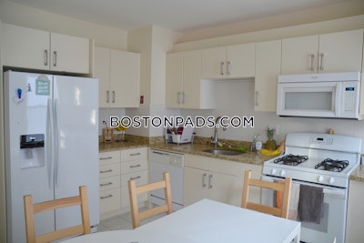 Brighton 4 Beds 2 Baths Boston - $4,800 50% Fee