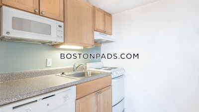 Cambridge 1 Bed 1 Bath CAMBRIDGE  Central Square/cambridgeport - $2,525 No Fee
