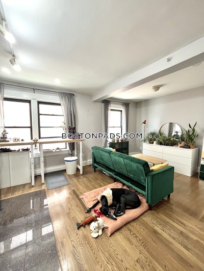 Downtown 1 Bed 1 Bath Boston - $2,500 No Fee