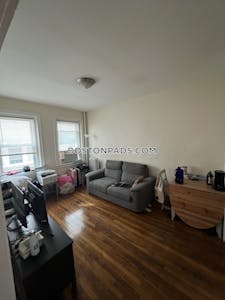 Allston/brighton Border 2 Beds 1 Bath Boston - $2,895 No Fee