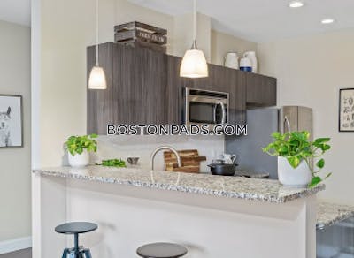 South Boston 1 Bed 1 Bath Boston - $3,695