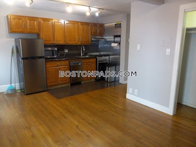 Downtown 1 Bed 1 Bath Boston - $2,500 No Fee