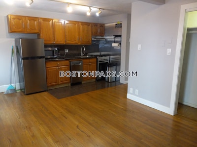 Downtown 1 Bed 1 Bath Boston - $2,500 No Fee