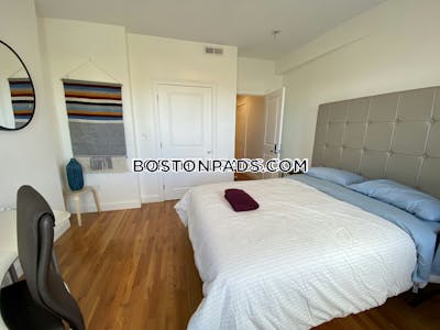 Fort Hill 11 Bed 4.5 Bath BOSTON Boston - $16,500 No Fee