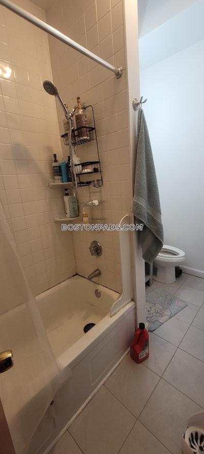 Mission Hill 6 Bed 4 Bath BOSTON Boston - $9,900 No Fee