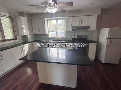Cambridge 1 Bed 1 Bath  Mt. Auburn/brattle/ Fresh Pond - $2,300 No Fee
