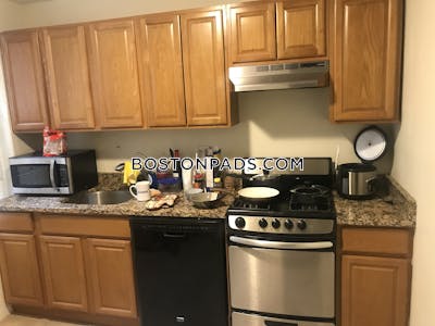 Allston/brighton Border Apartment for rent Studio 1 Bath Boston - $1,975