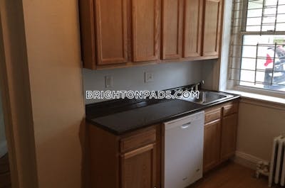 Brighton Apartment for rent 1 Bedroom 1 Bath Boston - $2,450 No Fee