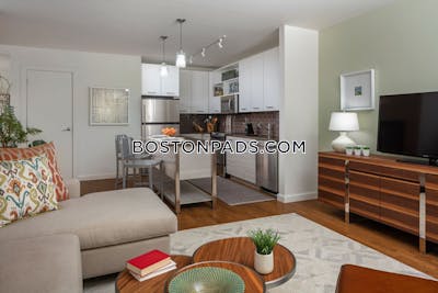 Downtown Apartment for rent 1 Bedroom 1 Bath Boston - $4,073