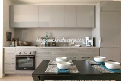 South End Apartment for rent Studio 1 Bath Boston - $3,225 No Fee