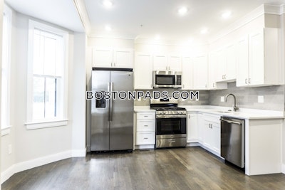 Allston 3 Beds 2.5 Baths Boston - $4,925 No Fee