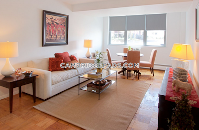 Cambridge Apartment for rent Studio 1 Bath  Porter Square - $2,595 No Fee