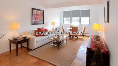 Cambridge Apartment for rent 1 Bedroom 1 Bath  Porter Square - $2,868 No Fee