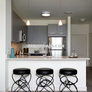 Quincy Apartment for rent 1 Bedroom 1 Bath  Quincy Center - $2,767