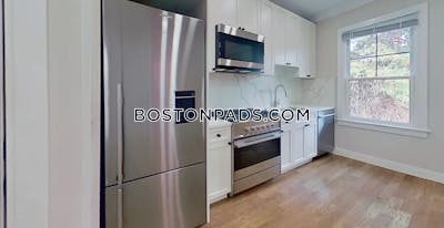 Brighton Apartment for rent 1 Bedroom 1 Bath Boston - $3,000 No Fee