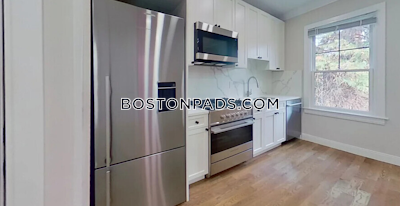 Brighton Apartment for rent 1 Bedroom 1 Bath Boston - $3,000 No Fee
