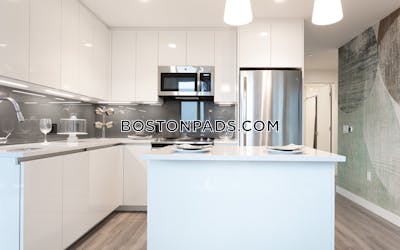 West End Apartment for rent 2 Bedrooms 2 Baths Boston - $11,016