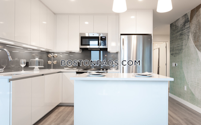 West End Apartment for rent 2 Bedrooms 2 Baths Boston - $11,016