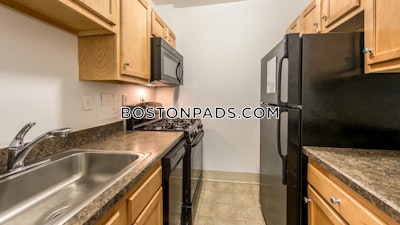 Cambridge Apartment for rent Studio 1 Bath  Porter Square - $2,537 No Fee