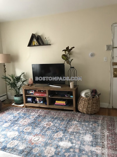Brighton Apartment for rent 2 Bedrooms 1 Bath Boston - $2,750 No Fee