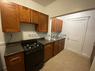 Allston/brighton Border Apartment for rent 1 Bedroom 1 Bath Boston - $2,295 No Fee