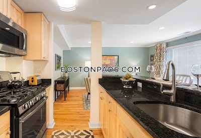 Brookline Apartment for rent 1 Bedroom 1.5 Baths  Chestnut Hill - $3,275 No Fee
