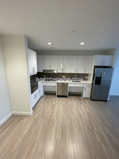 Allston Apartment for rent 1 Bedroom 1 Bath Boston - $4,009