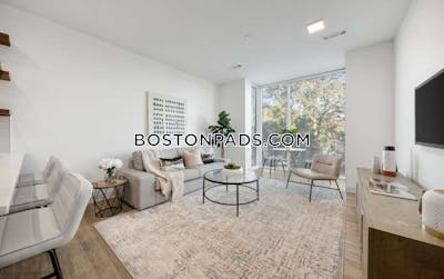 Brighton Apartment for rent 1 Bedroom 1 Bath Boston - $3,396
