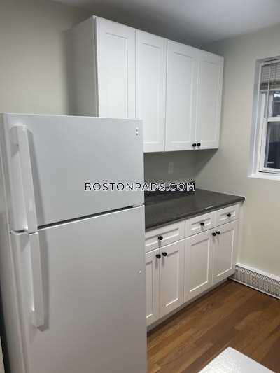 Somerville Apartment for rent Studio 1 Bath  Davis Square - $2,485 No Fee