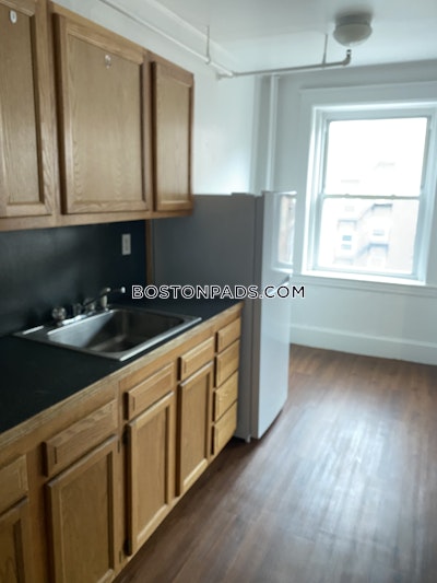 Brighton Apartment for rent 1 Bedroom 1 Bath Boston - $2,295 No Fee