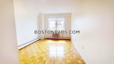 Brookline Apartment for rent 1 Bedroom 1 Bath  Boston University - $3,000 No Fee