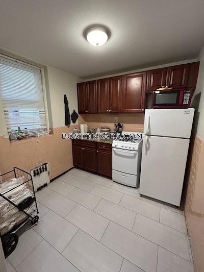 Allston/brighton Border Apartment for rent Studio 1 Bath Boston - $1,875 No Fee