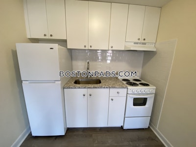 Allston Apartment for rent 1 Bedroom 1 Bath Boston - $2,400