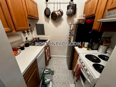 Fenway/kenmore Apartment for rent 1 Bedroom 1 Bath Boston - $3,300 No Fee