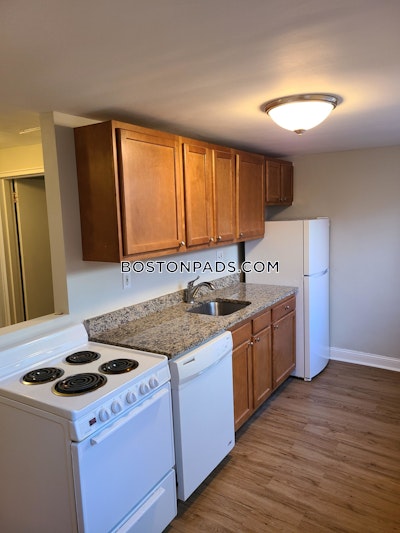 Brighton Apartment for rent 3 Bedrooms 1 Bath Boston - $3,495 No Fee