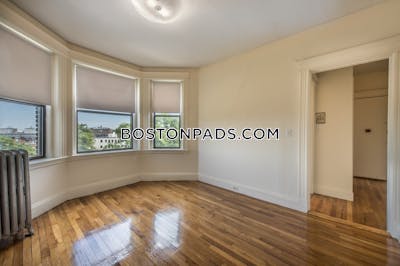 Allston Apartment for rent 1 Bedroom 1 Bath Boston - $2,650 No Fee