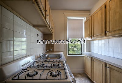 Allston Apartment for rent Studio 1 Bath Boston - $2,050