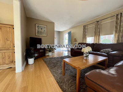 Arlington 3 Beds 1.5 Baths - $4,250