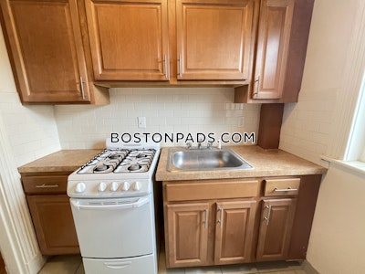 Allston Apartment for rent Studio 1 Bath Boston - $2,050 No Fee