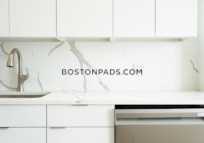 Brighton 1 Bed 1 Bath Boston - $3,300 No Fee
