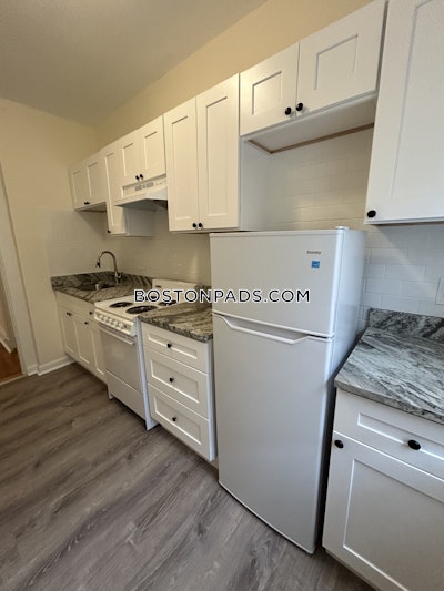 Allston Apartment for rent 1 Bedroom 1 Bath Boston - $2,300