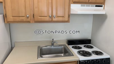 Cambridge Apartment for rent Studio 1 Bath Mt. Auburn/brattle/ Fresh Pond - $2,050 No Fee