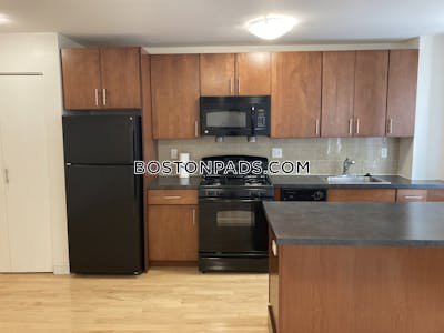 Brighton Apartment for rent 1 Bedroom 1 Bath Boston - $2,849 No Fee