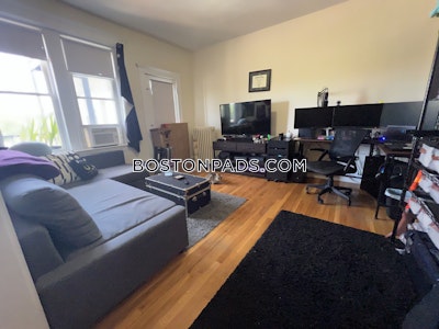 Brighton Apartment for rent 1 Bedroom 1 Bath Boston - $2,100 No Fee