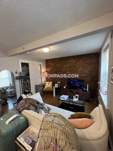 Downtown Apartment for rent 1 Bedroom 1 Bath Boston - $2,500 No Fee
