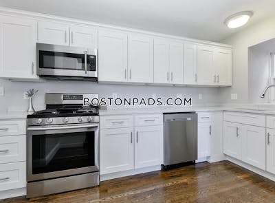 Dorchester Apartment for rent 3 Bedrooms 1 Bath Boston - $2,995 No Fee