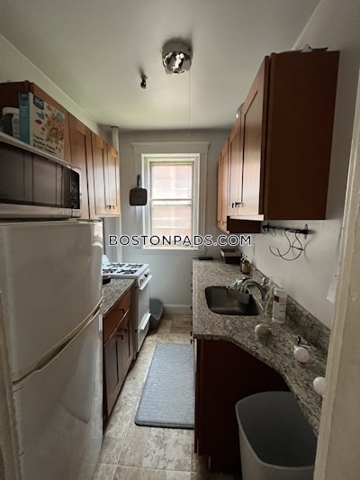 Allston Apartment for rent 1 Bedroom 1 Bath Boston - $2,200 No Fee